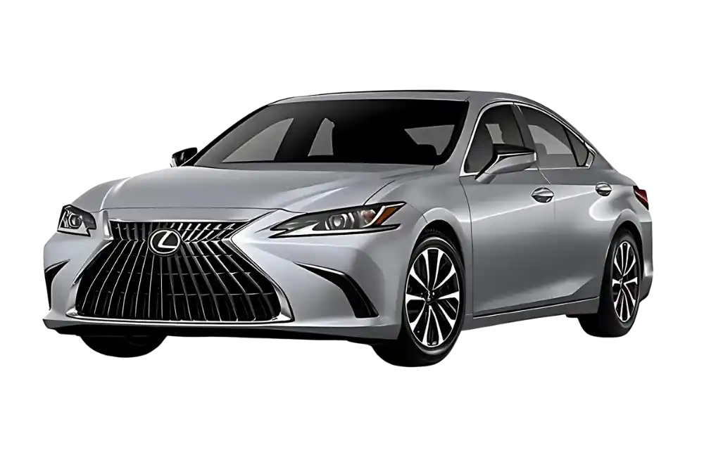 Premium Taxi Services in Gisborne